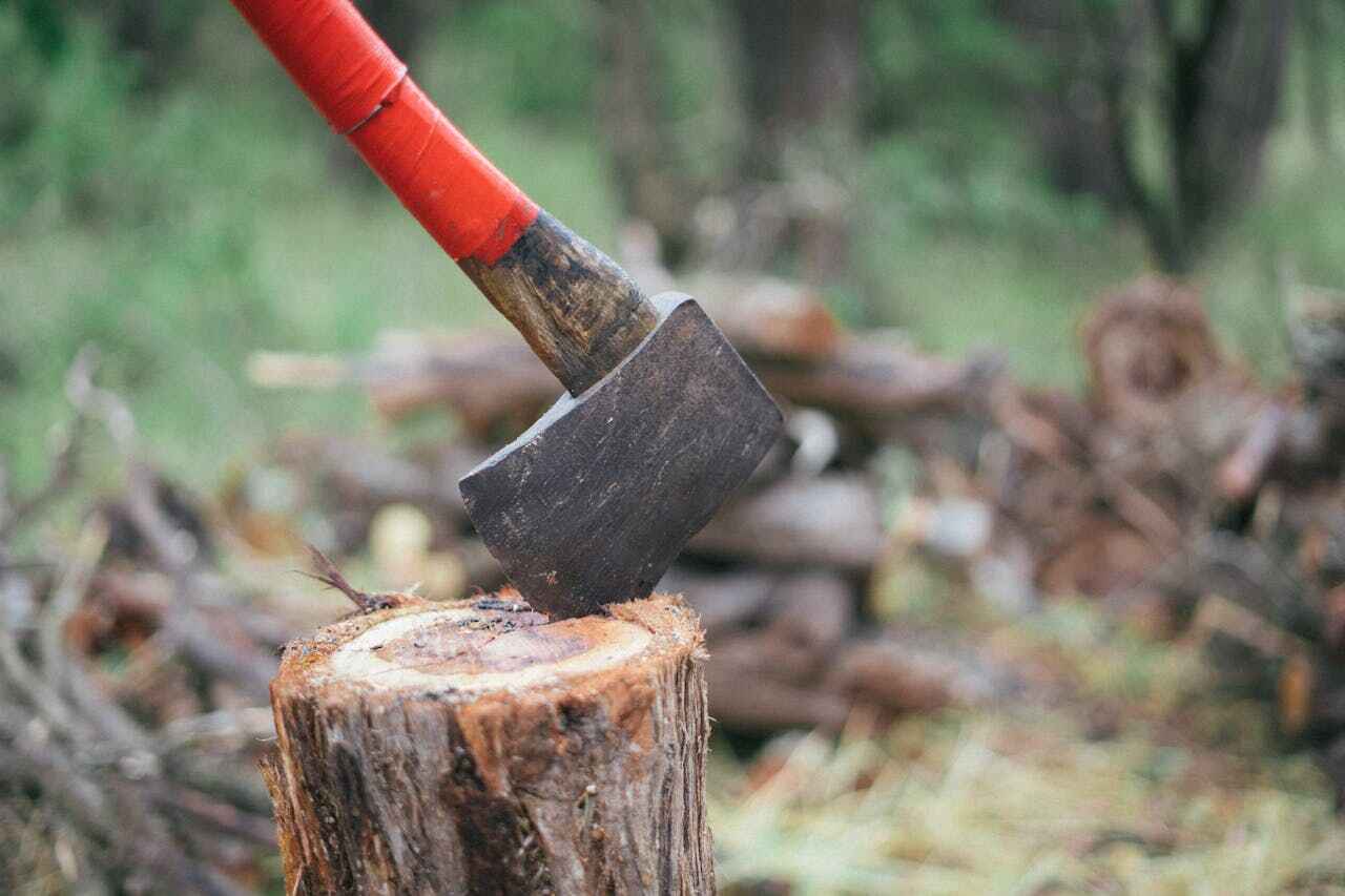 Residential Tree Removal